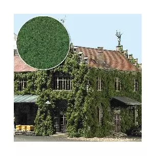 Medium green foliage 150x250mm