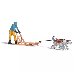 Chiens de traineau