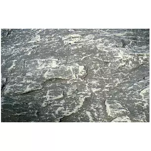 Feuilles de roche dolomit 80x35 cm