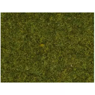 Sachet Herbe "sauvage" 50g 9mm NOCH 07118 - Toutes échelles