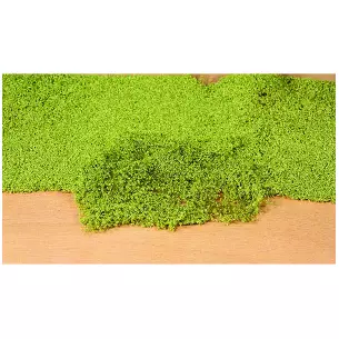 Flocage pour feuillage - Vert clair - HEKI 1675 - Échelle HO / TT / N / Z - 280 x 140 mm