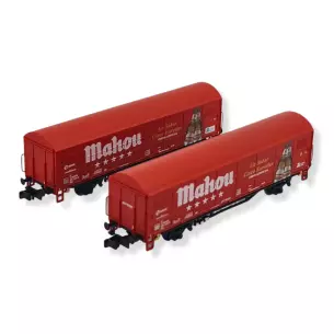 Coffret 2 wagons