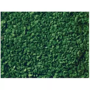 Medium green foliage