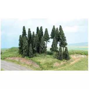 Set of 20 trees from 5 to 11 cm