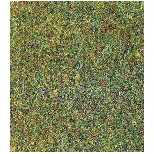 Light green carpet 100x200 cm