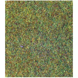 Tapis vert clair 100x200 cm