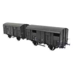 Coffret 2 wagons