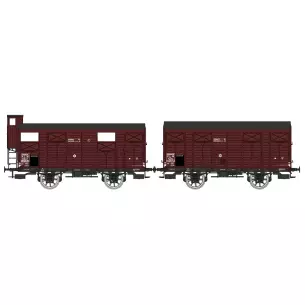Set of 2 PLM 20T REE Covered wagons Models WB696 - HO 1/87 - SNCF - EP II