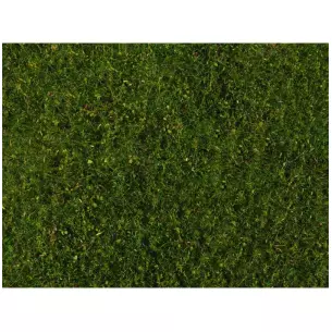 Tapis d'herbe de prairie vert moyen 200x230 mm NOCH 07291 - Toutes échelles