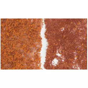 Sachet de flocage feuillage fin automne Woodland Scenics F56 - HO 1/87 - 464 cm²