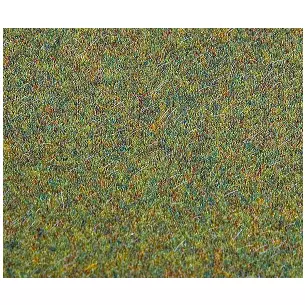 PREMIUM Landscape Segment, Basic Segment, light green