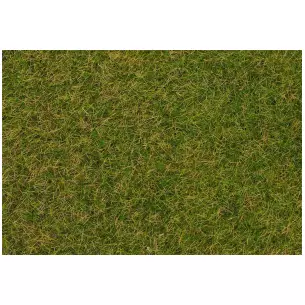 Fibres de flocage herbes sauvages, prairie début d'été, 4 mm, 1Kg FALLER 170256