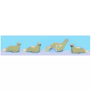 4 Otaries à peindre