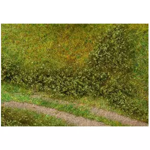 Summer green field foliage