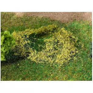 FEUILLAGE VERT PRAIRIE