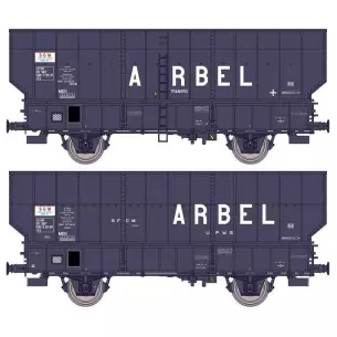 Coffret de 2 wagons à essieux Coke ARBEL livrée gris