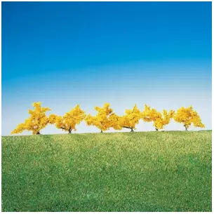6 yellow flowered forsythias