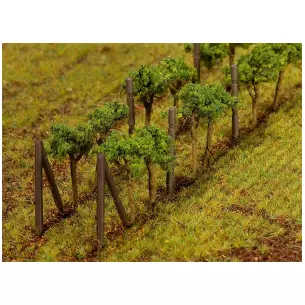 Vines
