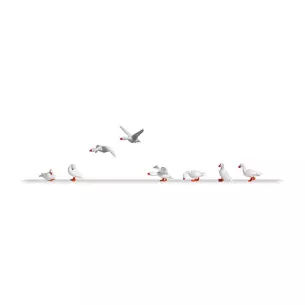 Farmed geese