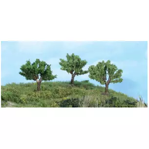 Lot de trois arbres de marais