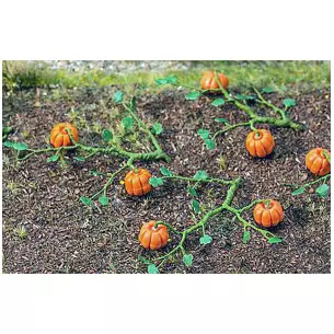 Miniature pumpkin plants - HO 1/87