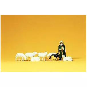 Shepherd with flock