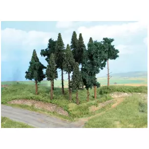Set of 14 Fir trees from 10 to 17 cm