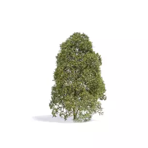 Arbre de saison estivale muni de feuilles vertes claires Busch 3586 - HO 1/87 - O 1/43