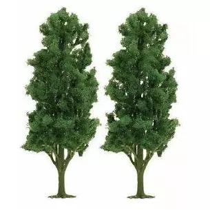 2 poplars 15 cm