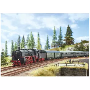 Steam locomotive, number 18495