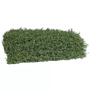 Arbuste fin d'été Busch 3599 - HO - 120 x 80 x 35 mm