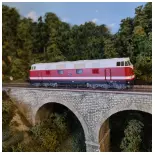 Locomotive diesel 118 652-7 DCC SON ROCO 70889 - DR - HO 1/87