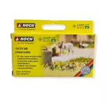 Lot de 48 plants de fleur Dent-de-Lion - LaserCut - NOCH 14124 - HO 1/87 -