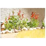 Lot de 10 plants de fleur Primeroses - LaserCut - NOCH 14116 - HO 1/87