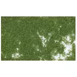 Sachet de flocage feuillage vert moyen Woodland Scenics F52 - HO 1/87 - 464 cm²