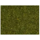Sachet Herbe Herbe éparse "Prairie" 20g 4mm NOCH 08361 - O - N - Z - HO -