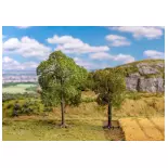 2 arbres - Tilleul & Alisier torminal Faller 181801 - HO - N - TT - 95 & 130 mm