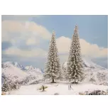 Pack 2 Sapins enneigés Noch 21966 - HO 1/87 - hauteur 180 et 200 mm