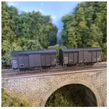 Coffret 2 wagons