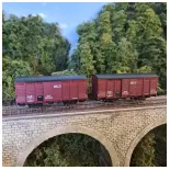 Coffret 2 wagons