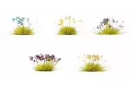 Plantes