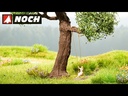 youtube - [Video]