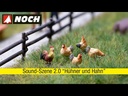 youtube - [Video]