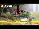 youtube - [Video]