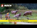 youtube - [Video]