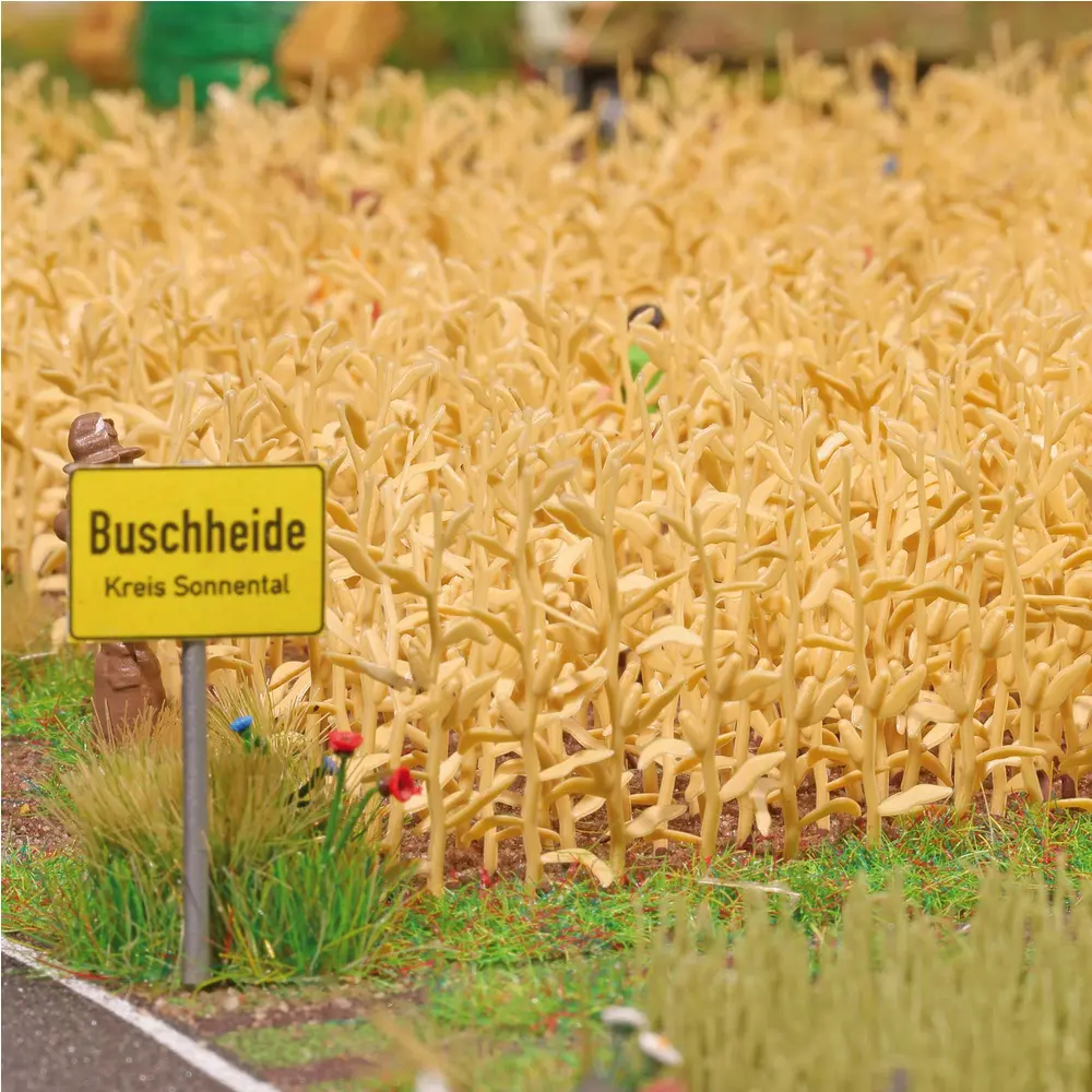 BU1257-photo_2.webp