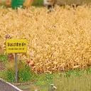 BU1257-photo_2.webp