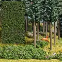 Flocage myrtilles forestières Busch 7348 - HO - 150 x 80 mm - 5