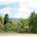 Arbre de saison estivale muni de feuilles vertes claires Busch 3581 - N / TT / Z - 2