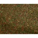 Flocage fibres d'herbe - Busch 7114 - Automne - 20g - 2